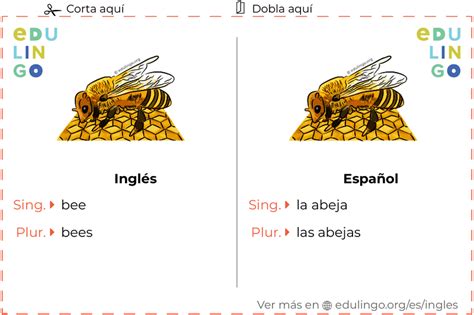 como se dice abeja en inglés .